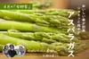 【第4週お届け】季節を味わう　旬のお野菜定期便