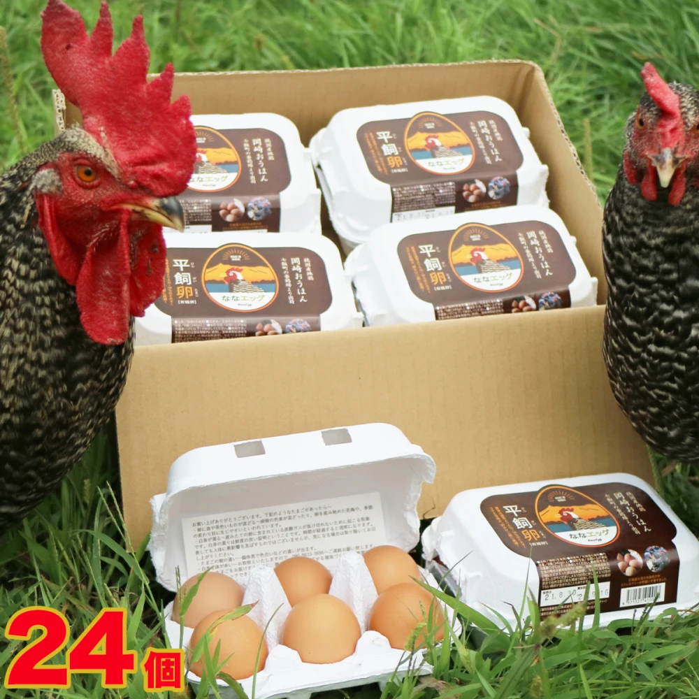 【北海道】平飼い卵「ななエッグ」６個入り ４パックセット(合計24個)
