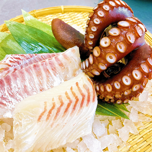 天草産 真鯛とタコのお刺身セット｟特殊冷凍》