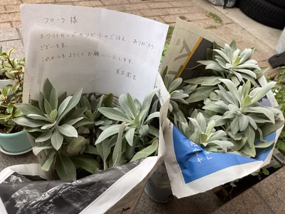 みんなの投稿の画像