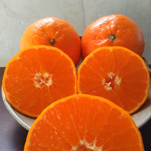 麗紅(れいこう)　ハウス栽培　佐賀県唐津市産　5㎏