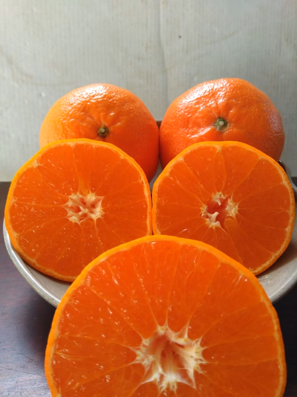 麗紅(れいこう)　ハウス栽培　佐賀県唐津市産　2.5㎏