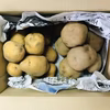 【じゃがいも食べ比べ！】「きたあかり」と「インカのめざめ」