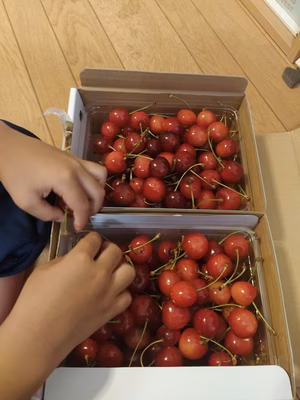 みんなの投稿の画像