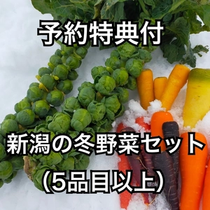 予約特典付！新潟の冬野菜セット（5品目以上）