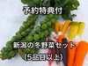 予約特典付！新潟の冬野菜セット（5品目以上）