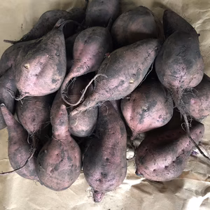 【八戸からお届け】さつまいも　安納芋3.0kg