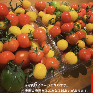 森田園芸『あっぱれミニとまと！』