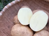 今日のごはんが、少し楽しみになる。島じゃがいも食べ比べ｜デジマ&グラウンドペチカ