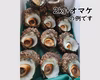 〈特大サイズ〉【訳あり】プリップリ!! 数量限定☆天然活サザエ
