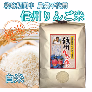 受注精米《白米》信州りんご米 農薬不使用米 こしひかり 令和5年産