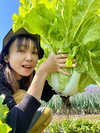 [信州産]元気いっぱい！旬野菜の玉手箱