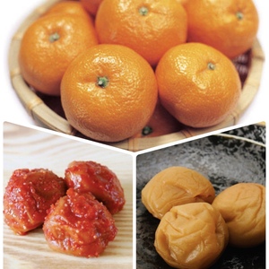 お歳暮に！　甘〜い！温州みかん２kg ＊はちみつ梅500g＊キムチ梅500g