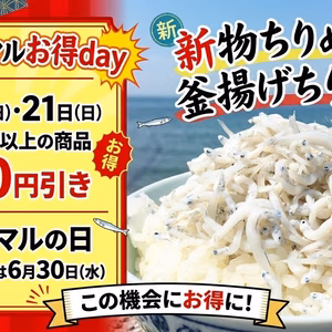 6月７日日曜注文700円引き！希望セット要望を5000円（税別）以上