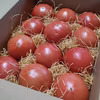 『濃い」トマトはお好きですか？ "無農薬"ほーりーのとまと