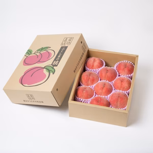 川中島白桃3kg 福島県伊達市産（9～11玉）