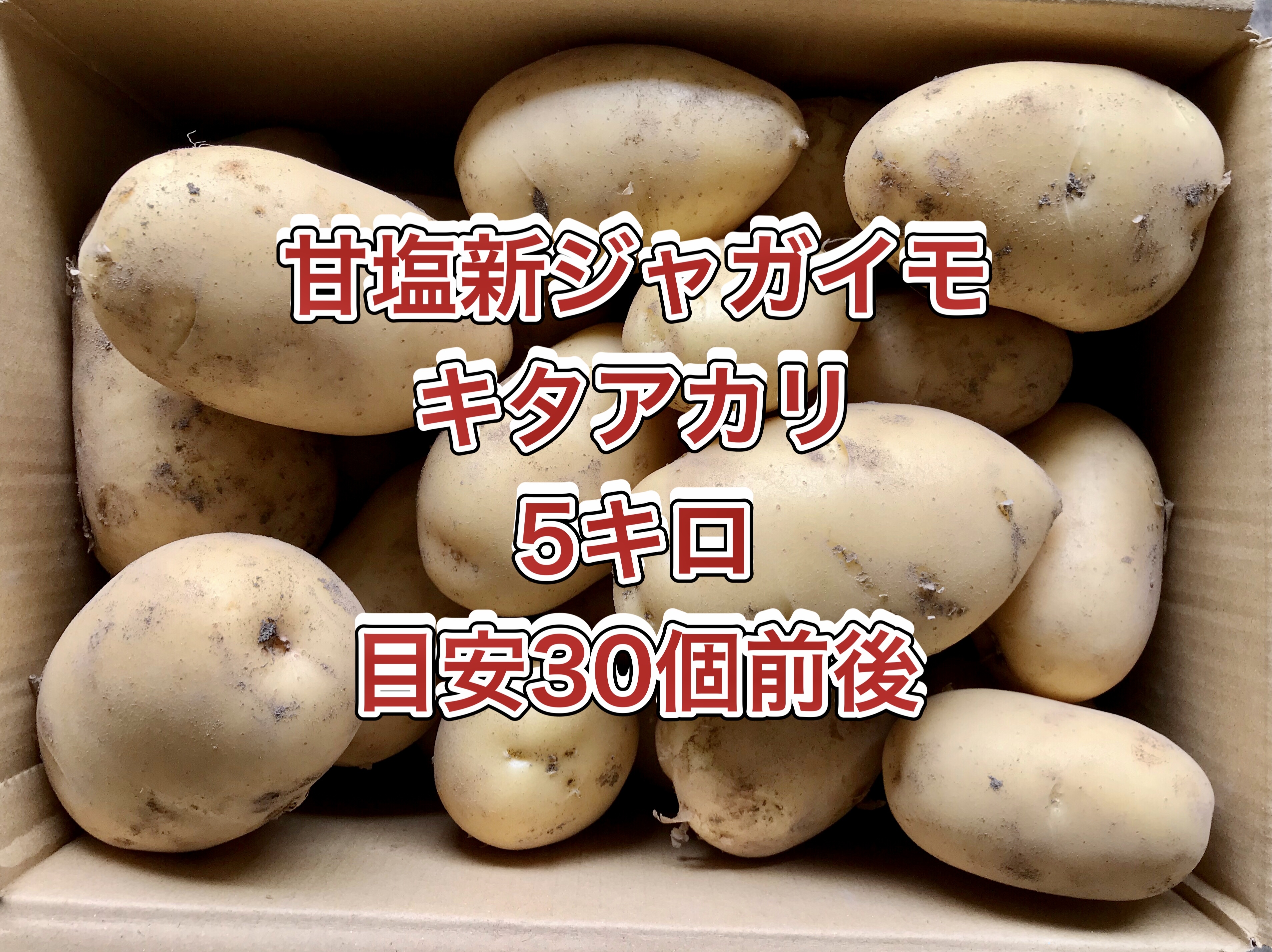 安心の定価販売 鹿児島県産 田舎の じゃがいも 5kg 訳あり 5キロ 3 Www Anavara Com