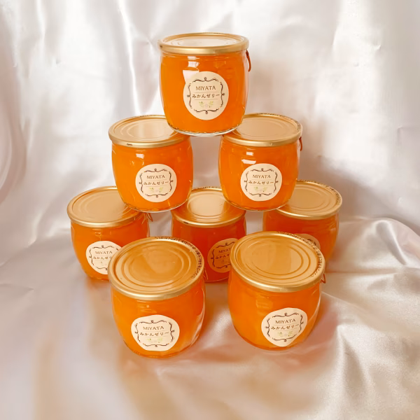 【北海道沖縄専用】【熱中症対策企画】高級みかんシャーベット8個入♪