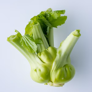 【珍しい】生ザーサイ 野菜 畑のアワビと言われコリコリとした食感 静岡県磐田市産
