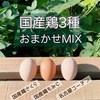 毎月05日はタマゴの日‼　×90個!!【国産鶏おまかせMIX】