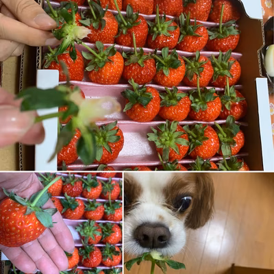 みんなの投稿の画像