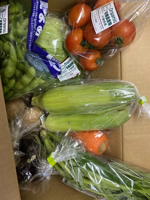 みんなの投稿の画像