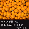 極小 寿太郎みかん 約5キロ みかん 訳ありみかん 西浦みかん 寿太郎