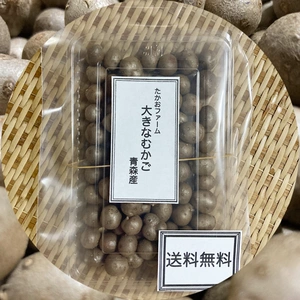 【送料無料!】レア商品粒が大きい山芋のムカゴ400g+αプレゼント付き