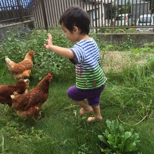 後藤もみじ 平飼い有精卵 60個