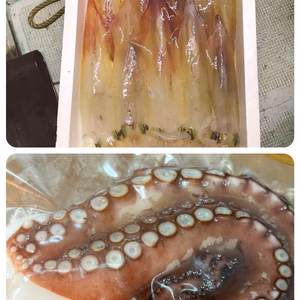 イカも食べたいタコも食べたい！そんなお望みまかせてくださいセット