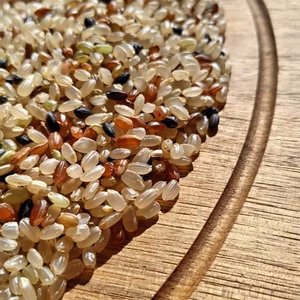 【新米】無農薬無化学肥料栽培★混植米！(玄米) 2024年産
