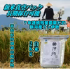 令和３年新潟産７年連続残留農薬ゼロ コシ伊助 真空パック白米  2Kg