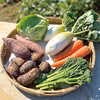 【農薬・化学肥料不使用】冬野菜Sセット（6品目前後）