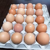 【いろいろワケあり】★たっぷりサイズ★最北の平飼い有精卵40個入から