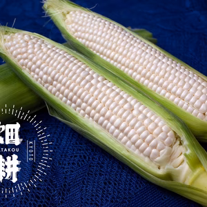 驚美味！「はたコーン」お試しパック(5本)