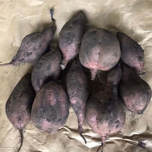 【八戸からお届け】さつまいも　安納芋1.5kg