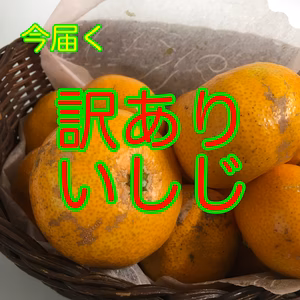 訳あり石地この時期に！？購入条件あり説明読んでください　送料８００円