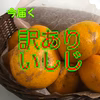 訳あり石地この時期に！？購入条件あり説明読んでください　送料８００円
