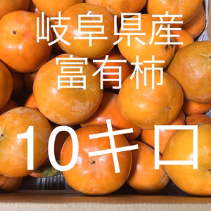 農家直送‼️　岐阜県産富有柿　10キロ