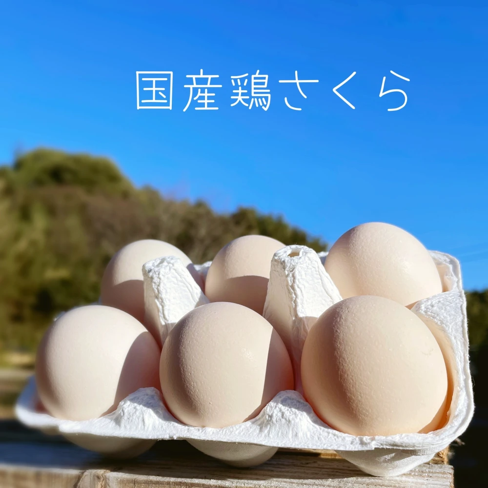 やっぱり国産鶏×36個！【名古屋コーチン&もみじ&さくら】3種セット‼︎