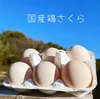 やっぱり国産鶏×36個！【名古屋コーチン&もみじ&さくら】3種セット‼︎