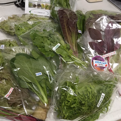 みんなの投稿の画像