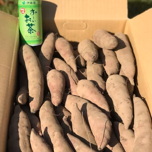 ☆干し芋付き☆　べにはるか【小芋】サツマイモ 5kg