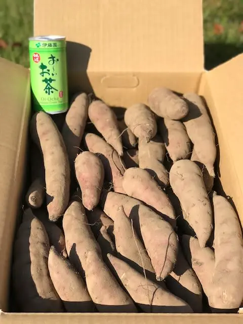 べにはるか【訳あり小芋】焼き芋用サツマイモ　土付き　20kg（5kg×4箱）