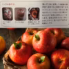りんご ふじ 3kg 5kg 10kg 訳あり 家庭用  美味しいリンゴ 