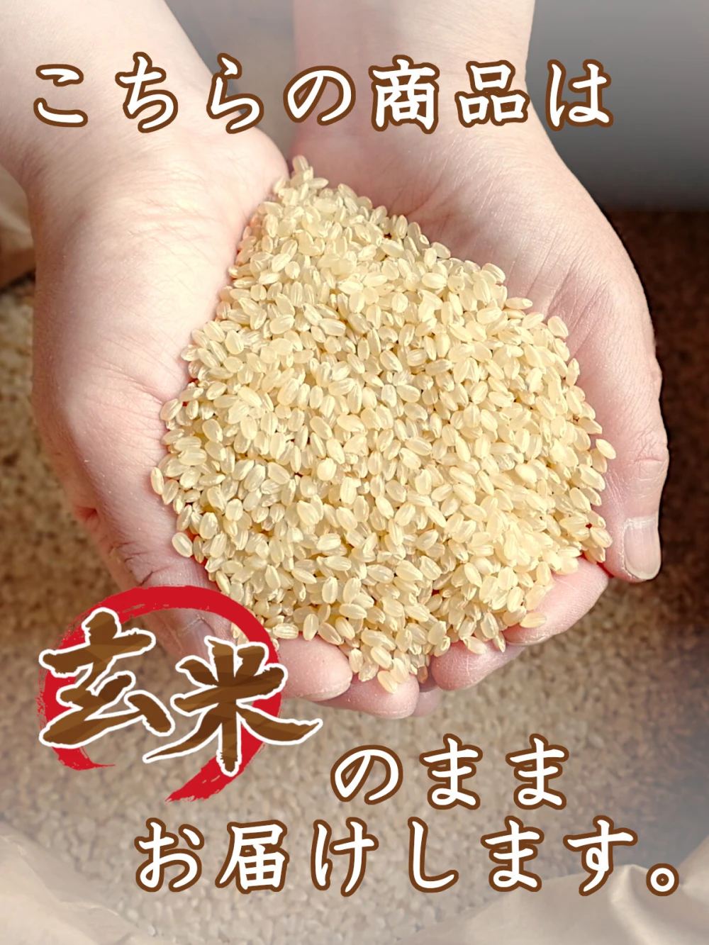 【新米】《玄米》残留農薬不検出 石垣島産 ちゅらひかり 令和5年産
