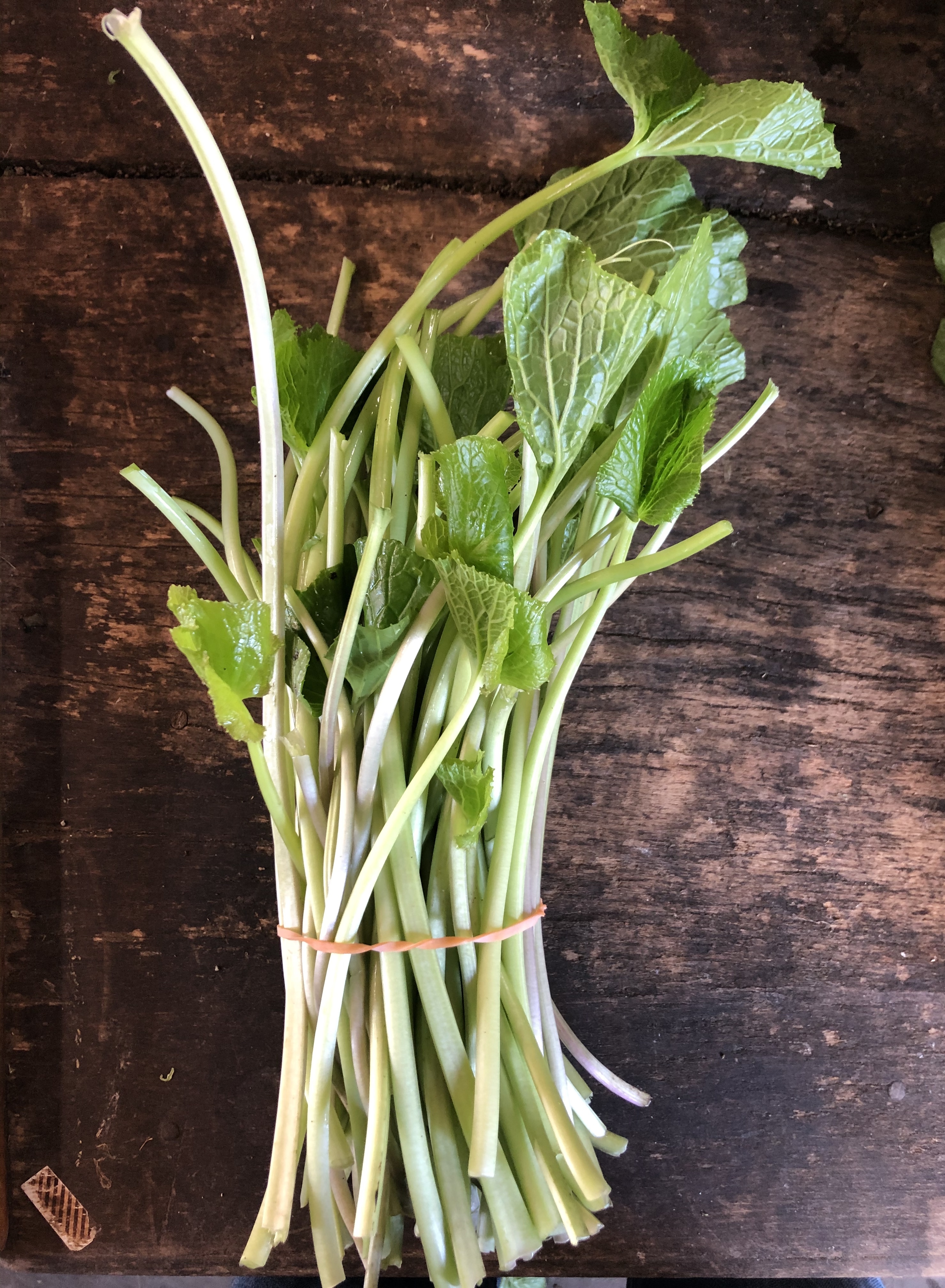 生わさび 大小混合 １㌔分 - 野菜