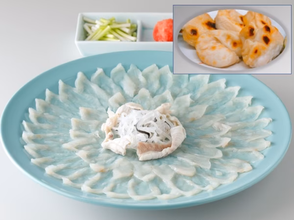 【限定食材！白子付き】とらふぐ刺身セット