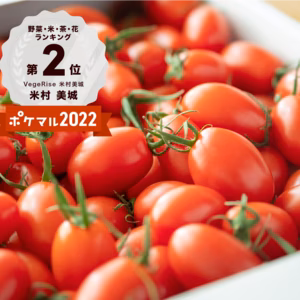 ご予約受付中！家族の笑顔が広がる完熟ミニトマト「トマランタン」