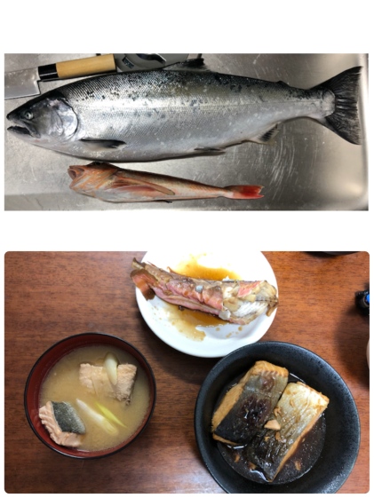 特大 天然アジ 農家漁師から産地直送の通販 ポケットマルシェ